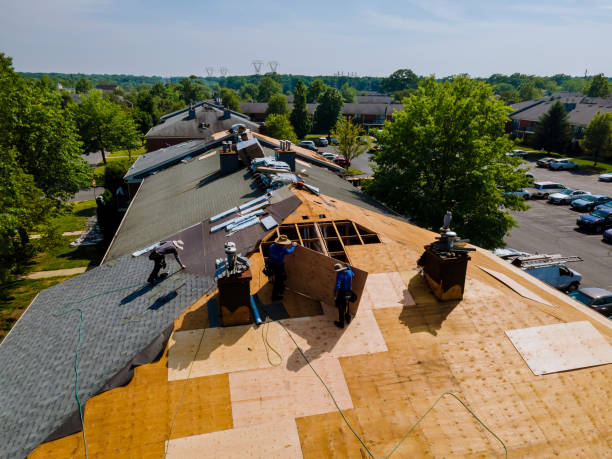 Quick and Trustworthy Emergency Roof Repair Services in Midway, GA